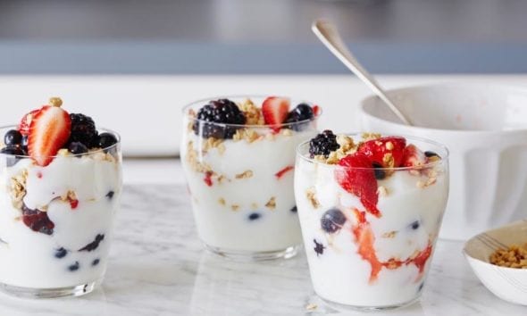 oghurt​_Recipes​_for​_the​_Perfect​_Dessert