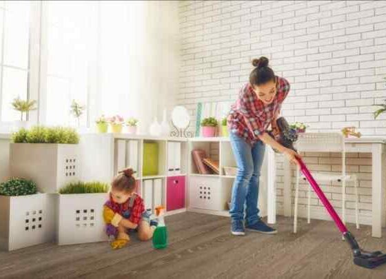 Seasonal Cleaning Made Easy with DIY Tips for Every Season