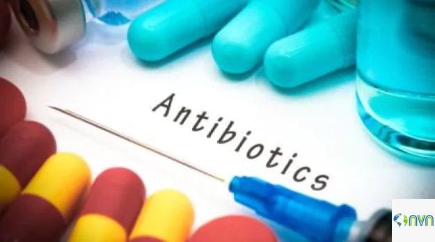 antibiotic