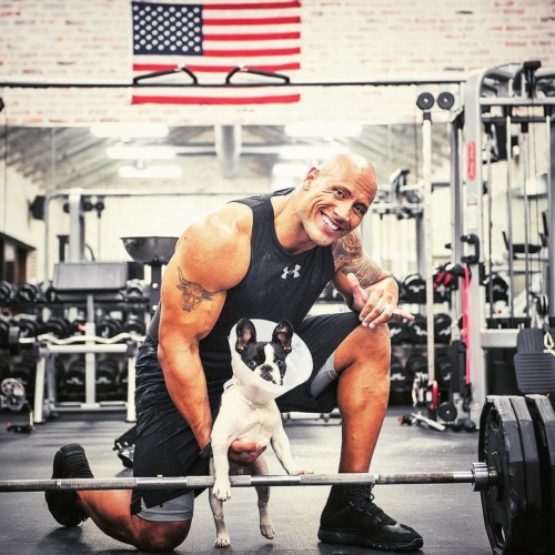 The Rock Dwayne Johnson in gym